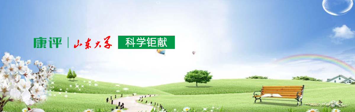 手機(jī)